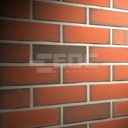 Клінкерна фасадна плитка R303 LDF14 290x52x14
