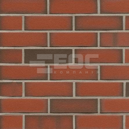 Клінкерна фасадна плитка R303 LDF14 290x52x14