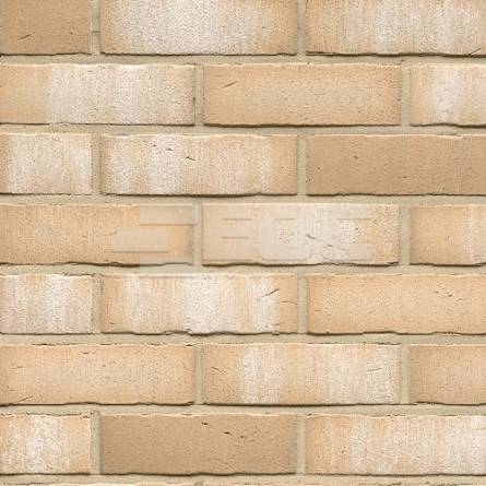Клинкерная фасадная плитка R730 NF14 240x14x71