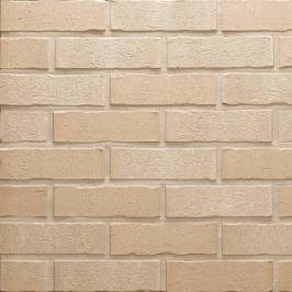 Клинкерная фасадная плитка R762 NF14 240x14x71