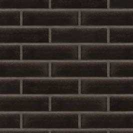 Клінкерна фасадна плитка 17 Onyx Black 250x65x10
