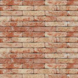 Кирпич ручной формовки NELISSEN 10 Klampsteen Kesselt 210x100x50