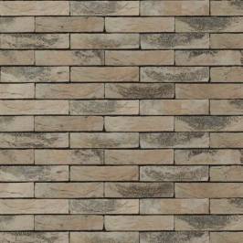 Кирпич ручной формовки NELISSEN 17 Roca 210x100x50