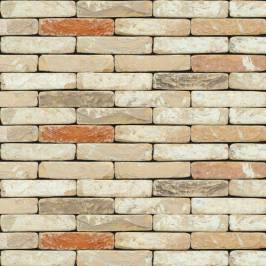 Кирпич ручной формовки NELISSEN Ceto 210x100x50