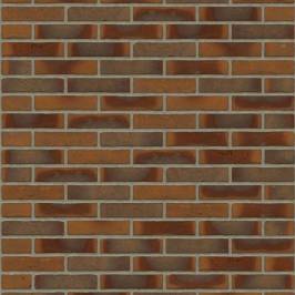 Цегла ручного формування Rijswaard Aalster Bont HV 210x100x50