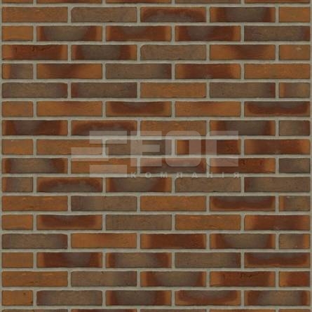 Кирпич ручной формовки Rijswaard Aalster Bont HV 210x100x50 купить в Киеве. Фото, цена, продажа