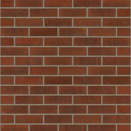 Цегла ручного формування Rijswaard Aalster Bont HV 215x100x65
