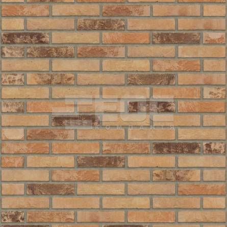 Кирпич ручной формовки Rijswaard Auriga HV 210x100x50 купить в Киеве. Фото, цена, продажа