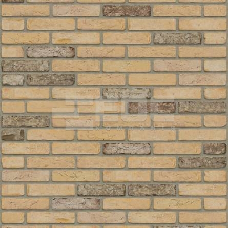 Кирпич ручной формовки Rijswaard Centaurus HV 210x100x50 купить в Киеве. Фото, цена, продажа