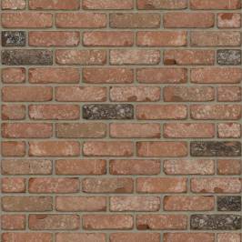 Кирпич ручной формовки Rijswaard Chimay 215x100x65
