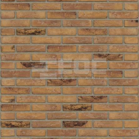 Кирпич ручной формовки Rijswaard Gamers bont HV 210x100x50 купить в Киеве. Фото, цена, продажа