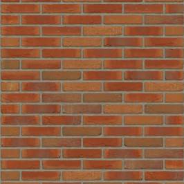 Цегла ручного формування Rijswaard Virgo HV 210x100x50