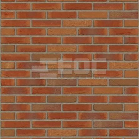 Кирпич ручной формовки Rijswaard Virgo HV 210x100x50 купить в Киеве. Фото, цена, продажа
