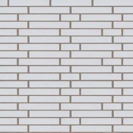 Клінкерна фасадна плитка ABC 180 LF 365x10x52