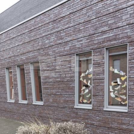 Клинкерный кирпич Vandersanden 401 Amsterdam Impression WF-S 210x72x50