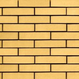 Клинкерный кирпич Vandersanden 409 A1 Calida XL50 290x90x50
