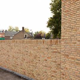 14 Borkum
