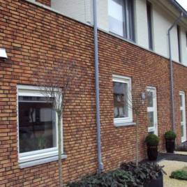 34 Rheingold