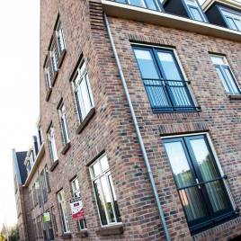 35 Holstein barock