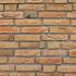 Кирпич ручной формовки 14 Borkum WF 210x100x50