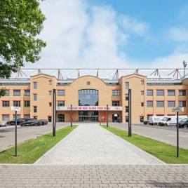 01eg Niederlausitzer gelb edelglanz
