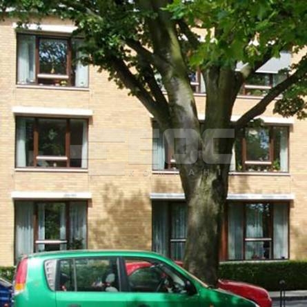 Клинкерный кирпич 06 Hellbraun Bunt 290х90х71