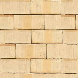 Тротуарна клінкерна бруківка 35 Creme Nuanciert 200x100x40   