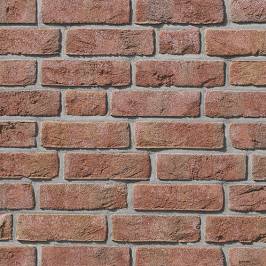 Фасадная плитка ручной формовки Formback светло-красный пестрый NF 240x14x71