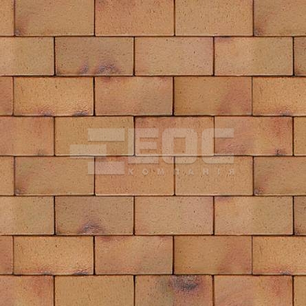 Тротуарна клінкерна бруківка ABC Antik 200x100x52 купить в Киеве. Фото, цена, продажа