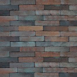 Тротуарная клинкерная брусчатка ABC Gotland 200x100x52