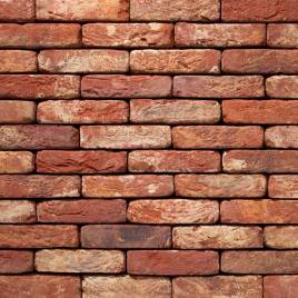 Фасадна плитка ручного формування 60 Oud Brabant DF 210x20x65
