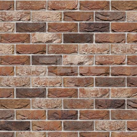 Кирпич ручной формовки 587 Alexia DF 210x100x65