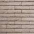 	Кирпич ручной формовки 43 Argentis WF 210x100x50